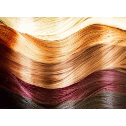 Hair Color (100)